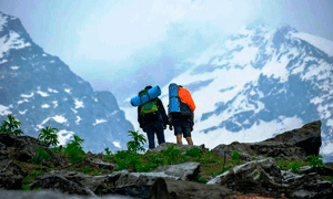 Dalhousie Taxi